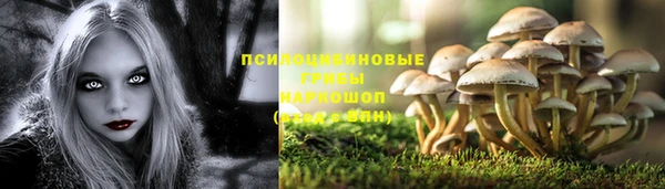 шишки Алексин