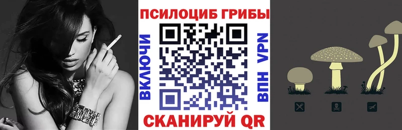 наркотики Рославль Галлюциногенные грибы Psilocybine cubensis